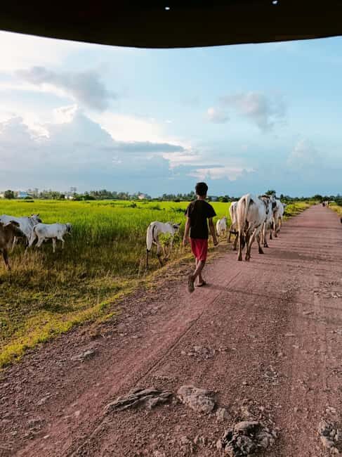 Kampot Pepper farm & Kayak trip around Green cathedral Sunse - The Sum Up: A Rich Day Out in Kampot’s Countryside
