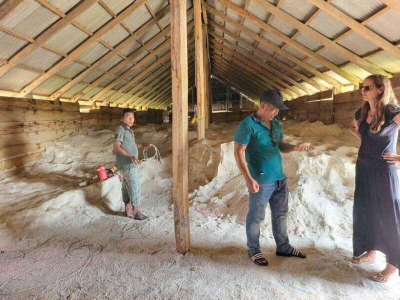 Kampot Pepper Farm, Salt Fields, Crab Market from Phnom Penh - Detailed Tour Breakdown