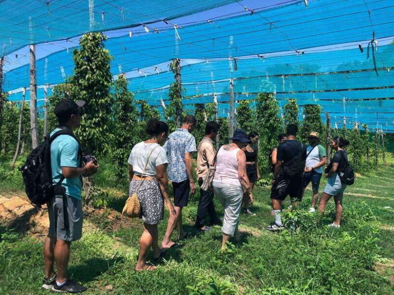 Kampot Pepper Farm, Salt Fields, Crab Market from Phnom Penh - Who Would Enjoy This Tour Most?