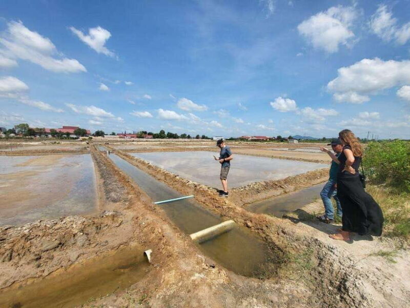 Kampot Pepper Farm, Salt Fields, Crab Market from Phnom Penh - The Sum Up