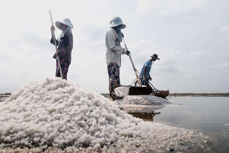 Kampot: Salt Fields, Pepper Farm, and Secret Lake Tour - Authentic Experience or Slightly Superficial?