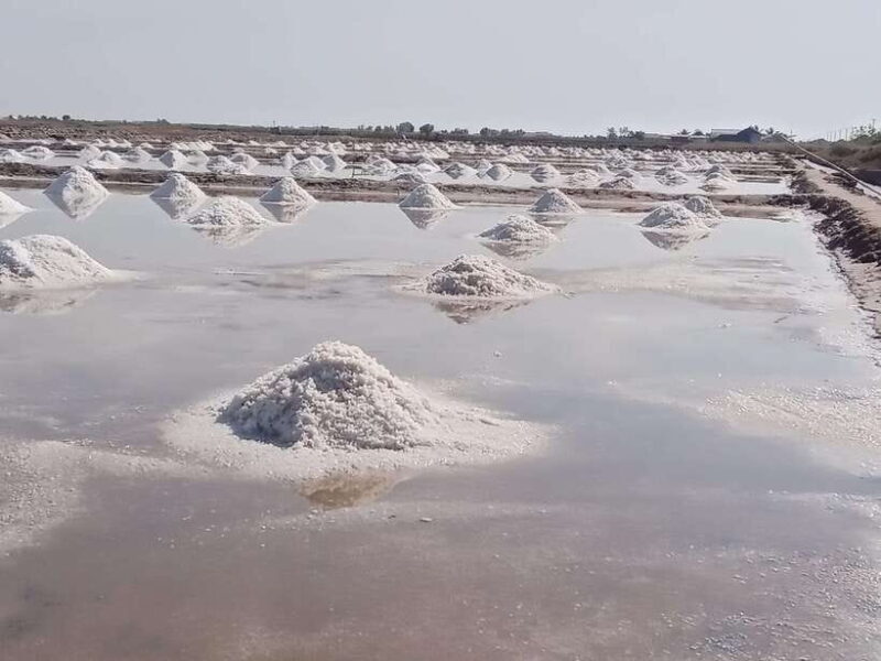 Kampot ~The County side/pepper farm/ Kep Crab market - Deep Dive into the Sights