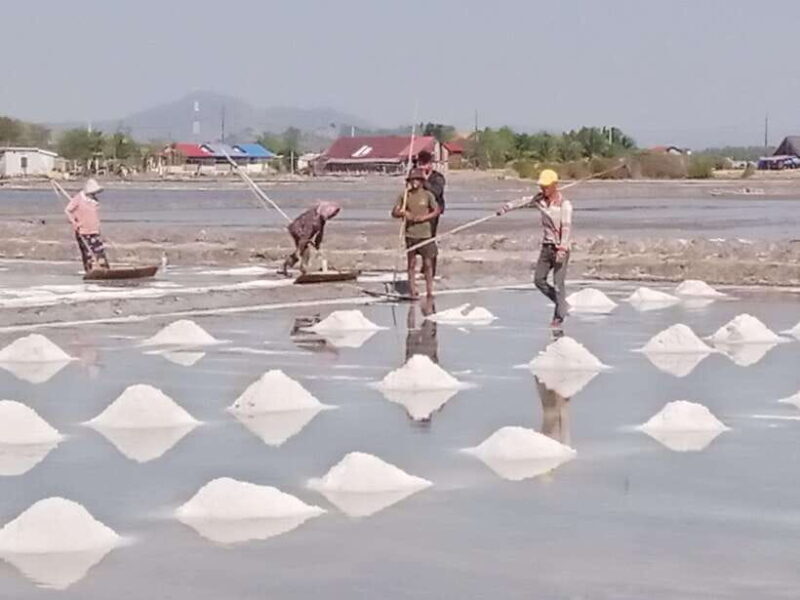 Kampot ~The County side/pepper farm/ Kep Crab market - The Value of This Tour