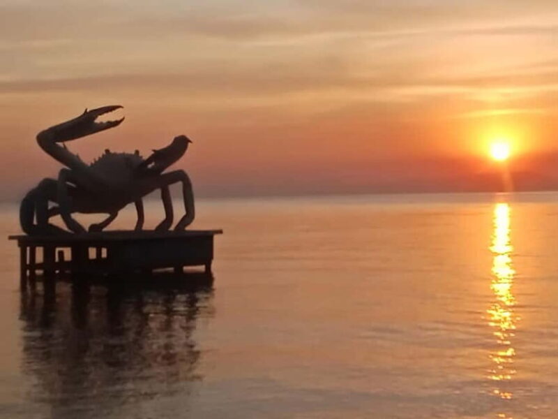 KAMPOT~ the kayak tour/pepper testing/Sunset on time & more - The Sum Up