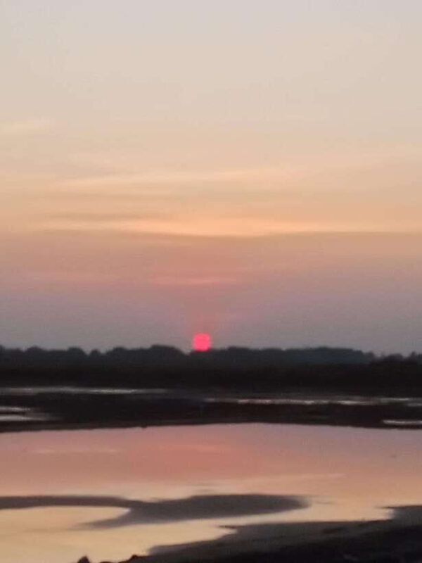 Kampot~Private local tuk tuk to Country side /Pepper farm. - Authentic Experiences That Stand Out