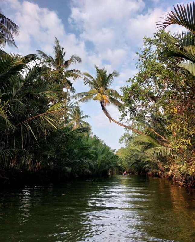 Kampot's Countryside & Kayak Tour, Pepper Farm include Lunch - Frequently Asked Questions
