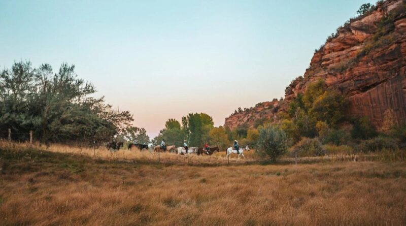 Kanab: Cave Lakes Canyon Horseback Riding Experience - A Deep Dive into the Cave Lakes Canyon Horseback Ride