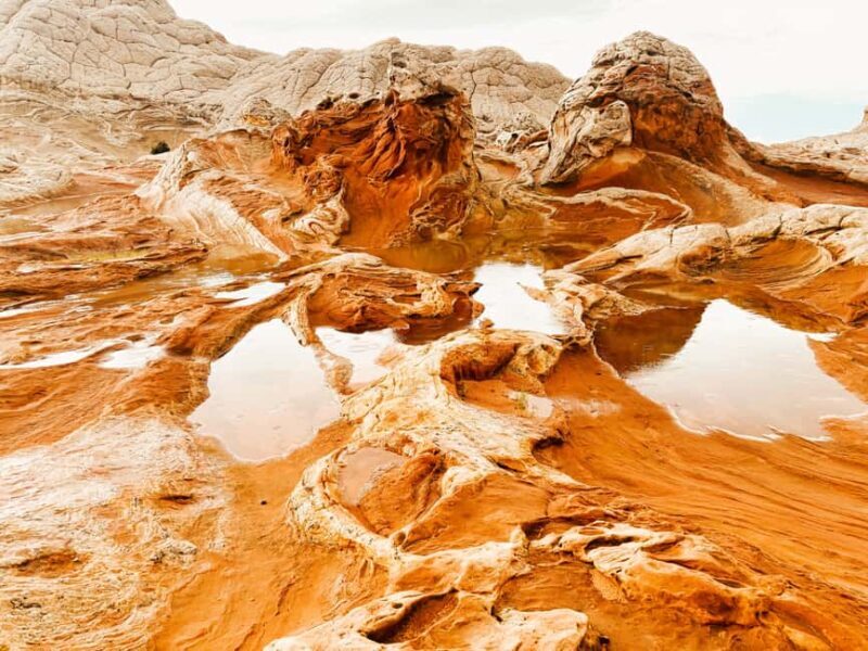 Kanab: White Pocket Rock Formation Small Group Tour - The Experience: Authentic, Educational, and Fun
