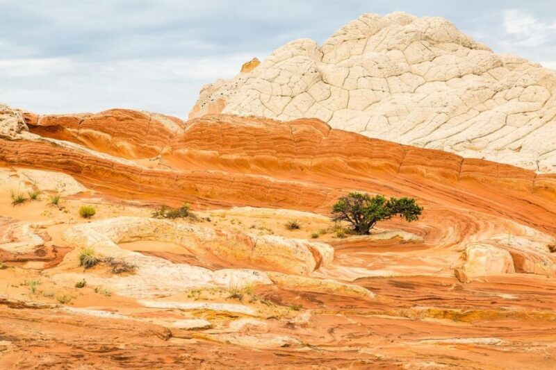 Kanab: White Pocket Tour & Hike - FAQ