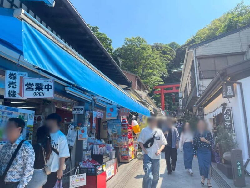 Kanagawa: Shopping and Historical Tour in Enoshima island - Who Should Consider This Tour?