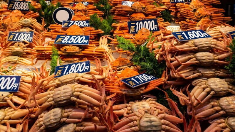 Kanazawa: City Highlights & Hidden Gems Private Walking Tour - Who Is This Tour Best Suited For?