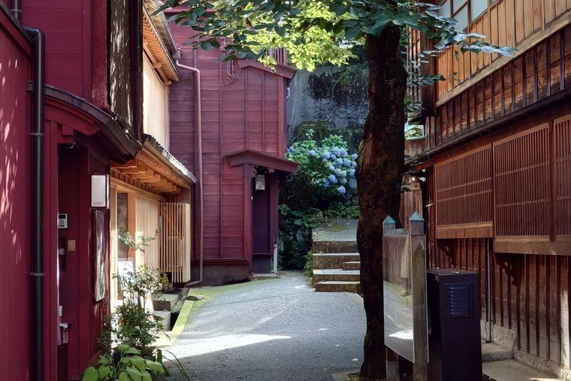 Kanazawa City, Nagamachi, Gyokusen-en, & Higashi Chaya District Tour - Matcha and sweets at Gyokusen-en