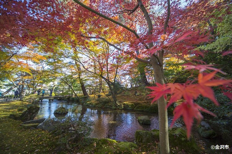 Kanazawa Half Day Historical Photo Spot Walking Tour - Private or join-in: choose with care