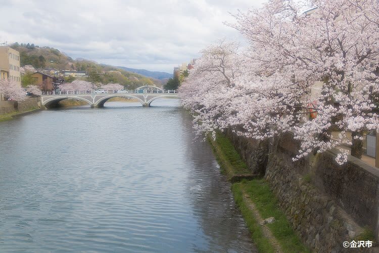 Kanazawa Half Day Historical Photo Spot Walking Tour - Practical booking details