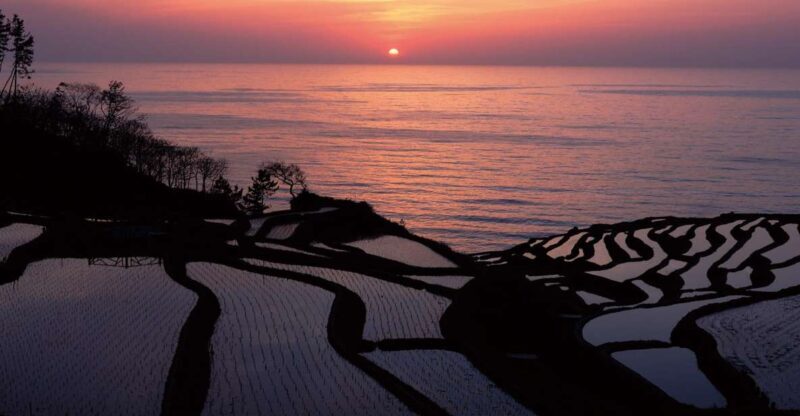 Kanazawa: Noto Peninsula Private Day-Tour - Key Points
