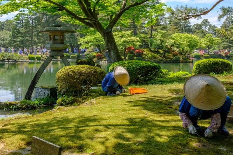 Kanazawa One-Day Private Cultural Tour - Omicho Market for a taste of everyday Kanazawa