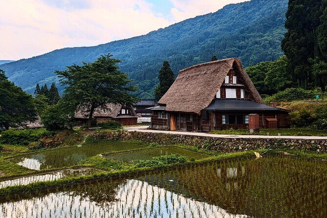 Kanazawa Tonami Tulips and UNESCO Gokayama - A Complete Look at the Tour Experience