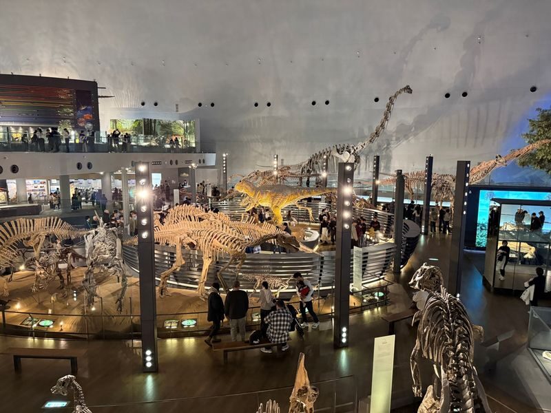 Kanazawa: World-Class Fukui Dinosaur Museum Small Group Tour - Why the museum is worth a full-day trip