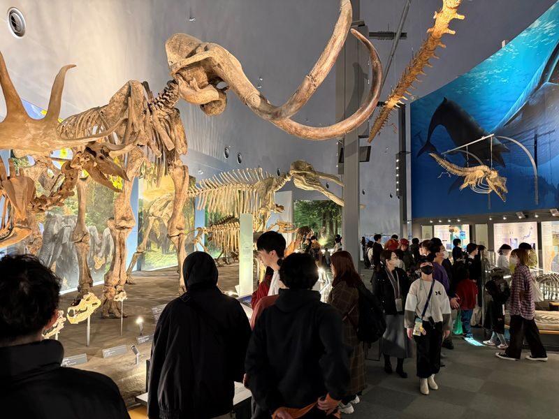 Kanazawa: World-Class Fukui Dinosaur Museum Small Group Tour - Four hours on the schedule, about 3.5 hours to explore