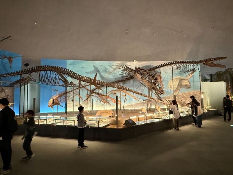 Kanazawa: World-Class Fukui Dinosaur Museum Small Group Tour - Plan lunch before the restaurant gets busy
