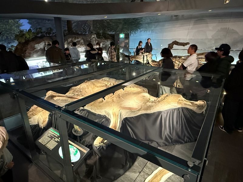 Kanazawa: World-Class Fukui Dinosaur Museum Small Group Tour - The return stop and ride back to Kanazawa