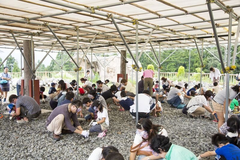 Kanazawa: World-Class Fukui Dinosaur Museum Small Group Tour - Who will get the most from this tour?