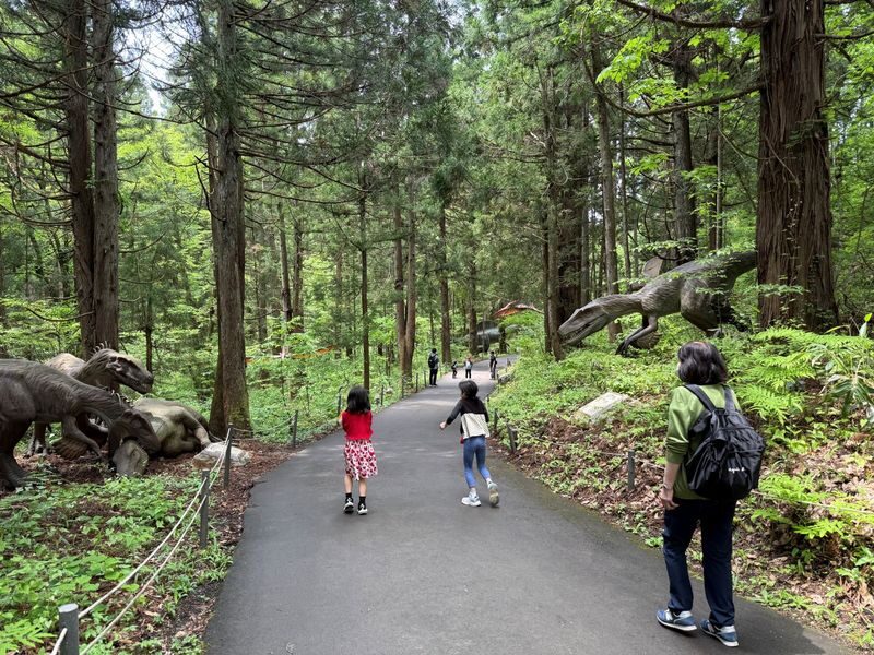 Kanazawa: World-Class Fukui Dinosaur Museum Small Group Tour - Practical details before you reserve