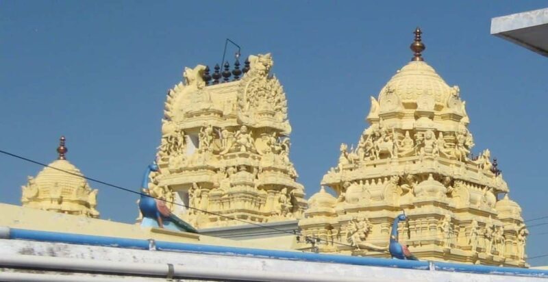 Kanchipuram in a Day: Complete Temple & Silk Tour - Who Will Enjoy This Tour?