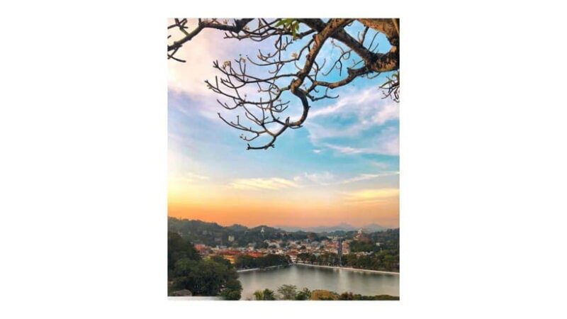 Kandy : All Inclusive City Tour By Tuk Tuk - An In-Depth Look at the Kandy Tuk Tuk Tour