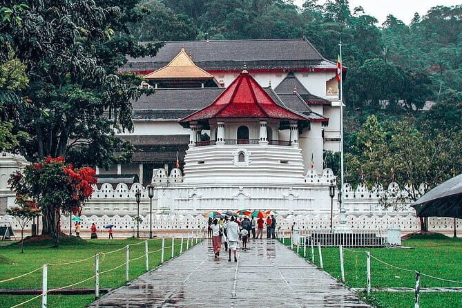 Kandy All Inclusive Day Tour from Colombo - An Honest Look at the Kandy All Inclusive Day Tour from Colombo