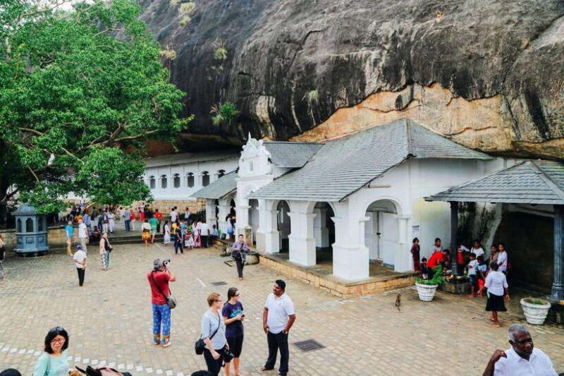 Kandy: All Inclusive Sigiriya Rock & Dambulla Cave Temple - Who Will Love This Tour?