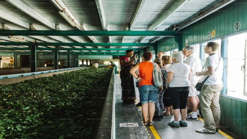 Kandy : Ambuluwawa Tower Day Tour by Tuk Tuk - FAQs