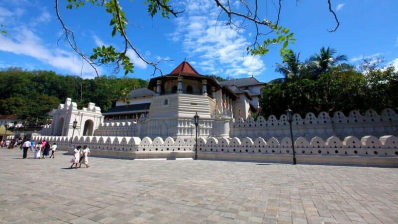 Kandy and Pinnawala: A Perfect 1-Day Tour Experience - An In-Depth Look at the Tour