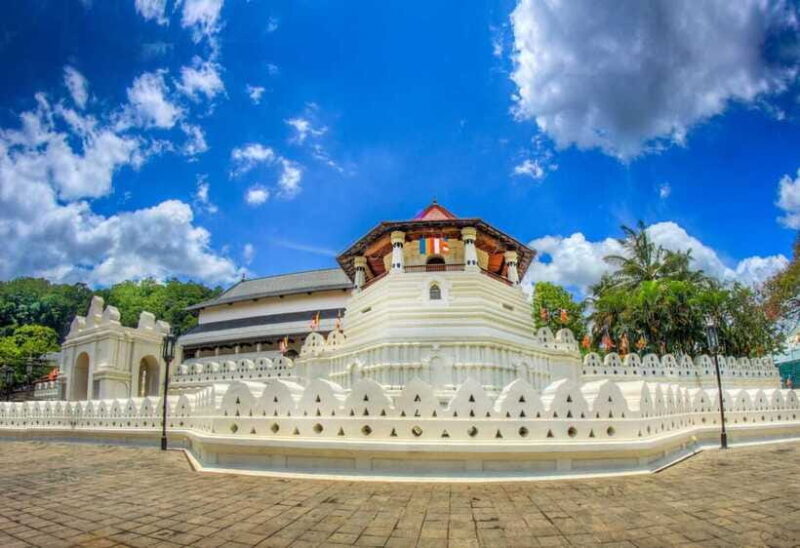 Kandy and Pinnawala: A Perfect 1-Day Tour Experience - Practical Considerations and Tips