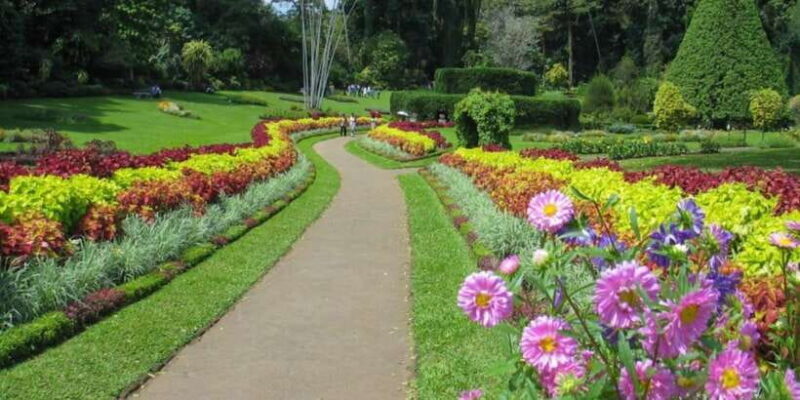 Kandy and Pinnawala: Private Day Trip from Colombo Harbor - Practical Info and Recommendations