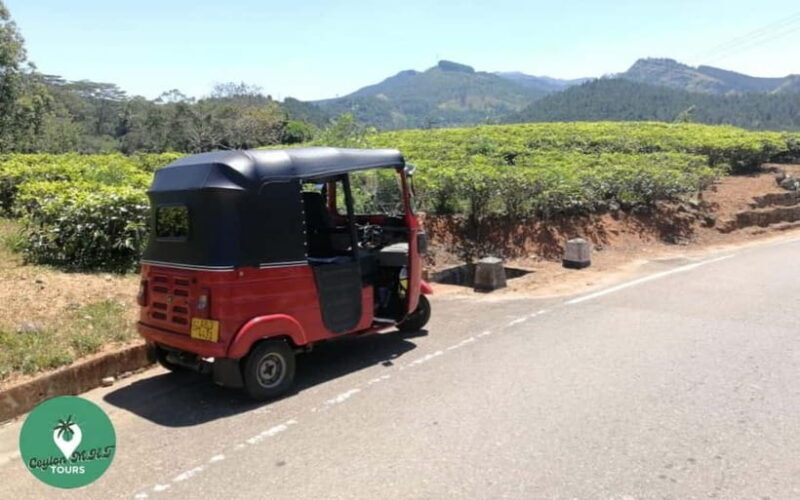 Kandy: City Explore with Local guide By Mini Van - Exploring Kandy: A Personal Tour in the Heart of Sri Lanka