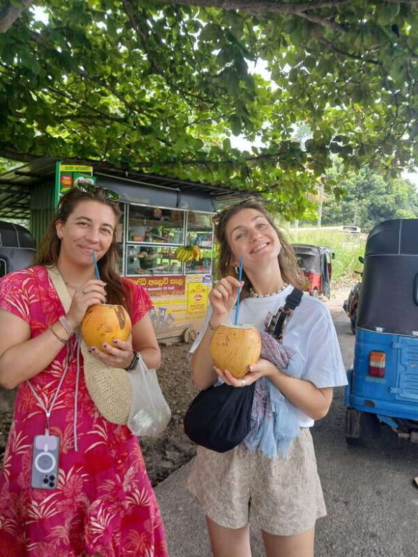 Kandy City Full Day Private Tour by Air Condition Taxi - Who Is This Tour Best For?