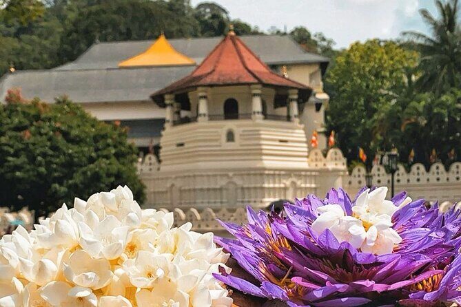 Kandy City Sightseeing and Ambuluwawa Tower by Tuk Tuk Tour - The Sum Up