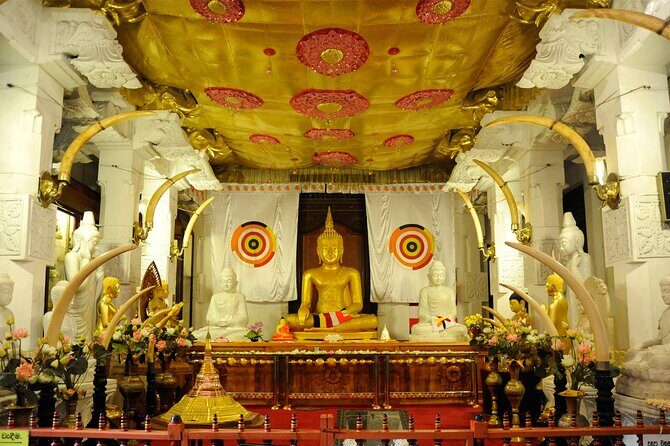 Kandy City Sightseeing Tour by Tuk Tuk - An In-Depth Look at the Kandy Tuk Tuk Experience