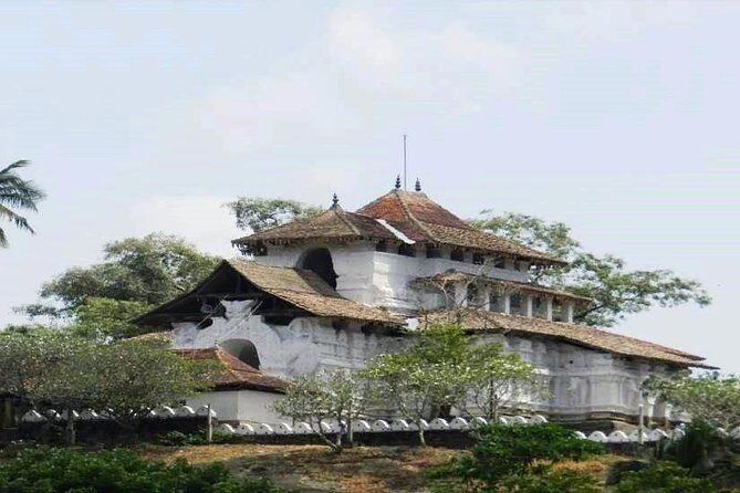 Kandy City Tour - Final Thoughts: Is This Tour Right for You?