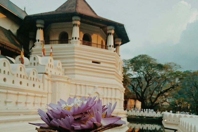 Kandy City Tour and day trip private luxury car and van - The Sum Up