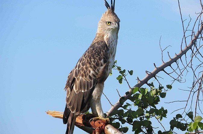 Kandy City Tour by Lux Tours Lanka - Who Would Love This Tour?