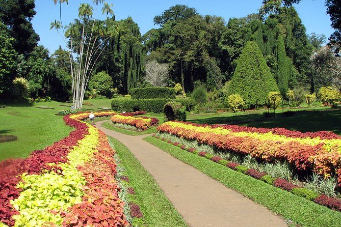 Kandy City Tour from Negombo - Key Points