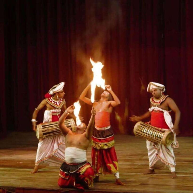 Kandy City Tour: UNESCO heritage city and temple visit - Practical Tips for Your Tour