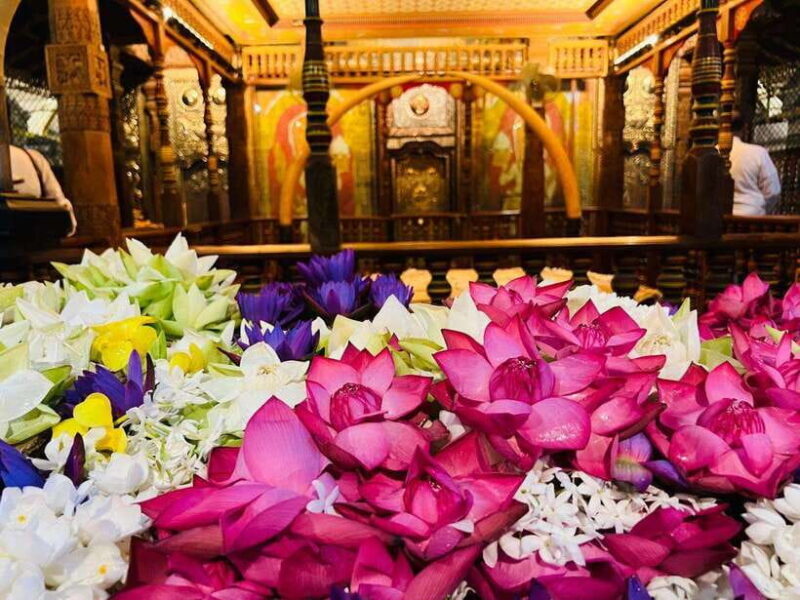 Kandy: City Tour with Ambuluwawa Tower Day Trip - Final Thoughts