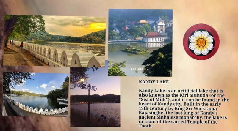 Kandy: City Tour with Temple of the Tooth & Tea Garden - A Deep Dive into the Kandy Experience