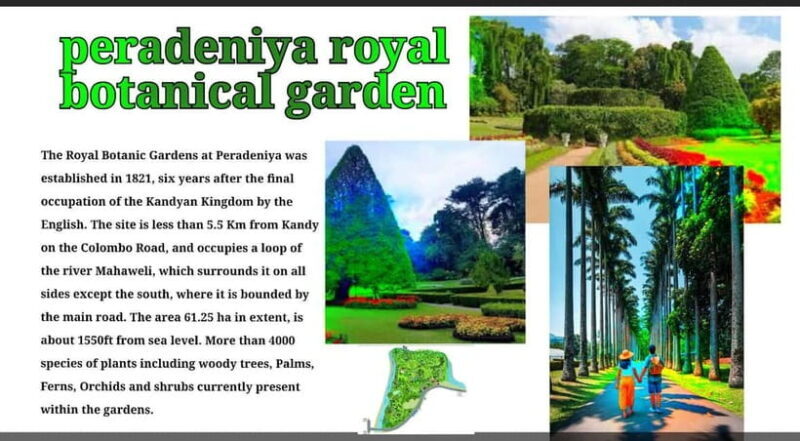 Kandy: City Tour with Temple of the Tooth & Tea Garden - Final Thoughts