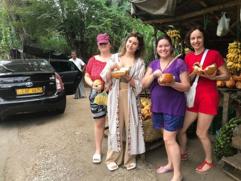 Kandy: Dambulla, Pidurangala Rock, and Cooking Day Trip - FAQ