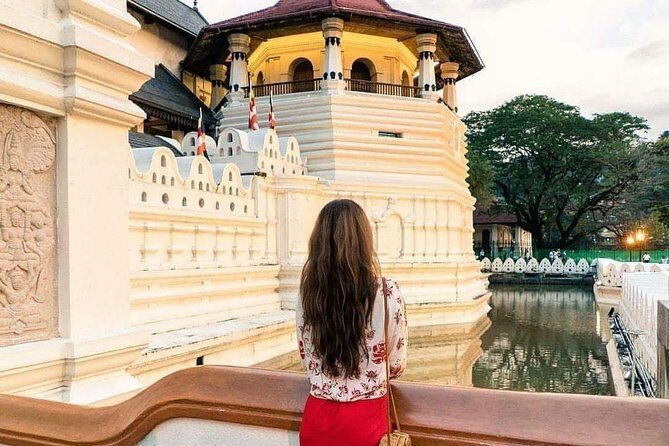 Kandy Day Tour From Colombo - Who Should Take This Tour?