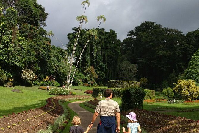 Kandy Day Tour From Colombo - Frequently Asked Questions